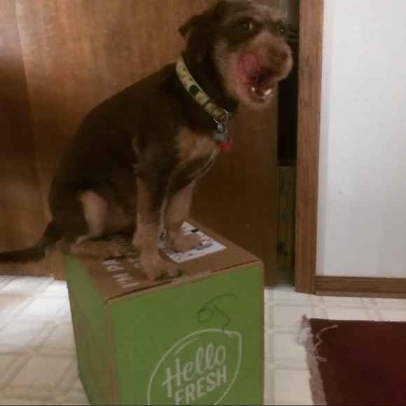 About Me Sylvia avocado2006 - Picture 8 of 11